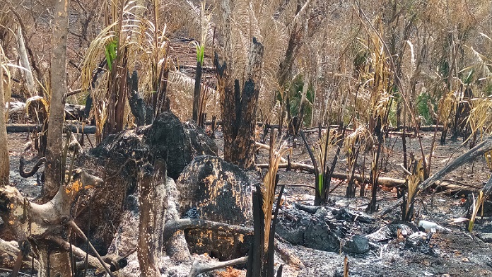 La tala y quema de bosques ocasiona falta de agua en la tierra y calore excesivo.