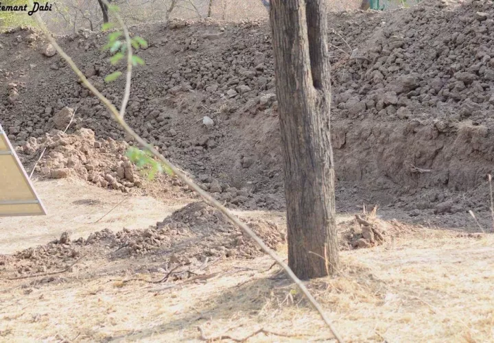 Un leopardo se escondió en una zanja. | Foto: Twitter @BellaLack